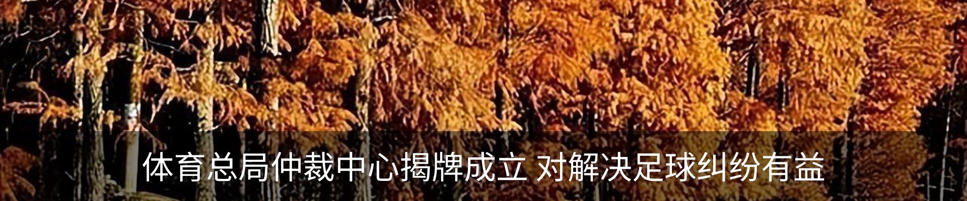 新闻中心